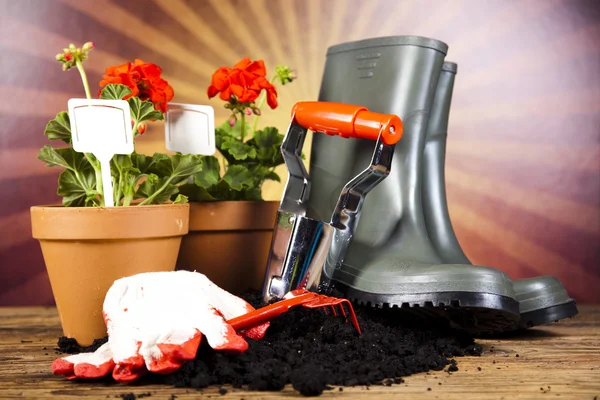 Garden boots with tool, plant — Stock Photo, Image