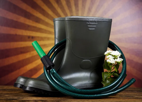 Garden boots with tool, plant — Stock Photo, Image