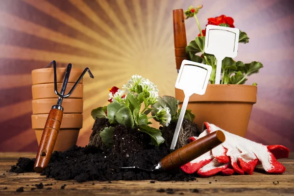 Watering Can and Gardening Gloves — Stock Photo, Image