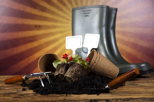 Gießkanne und Gartenhandschuhe — Stockfoto