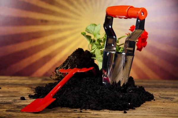 Watering Can and Gardening Gloves — Stock Photo, Image