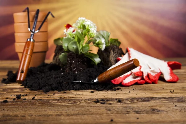 Watering Can and Gardening Gloves — Stock Photo, Image