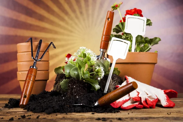 Gießkanne und Gartenhandschuhe — Stockfoto