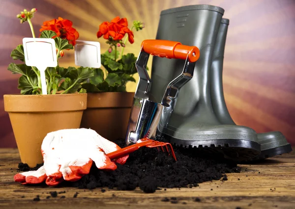 Watering Can and Gardening Gloves — Stock Photo, Image