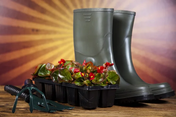 Watering Can and Gardening Gloves — Stock Photo, Image