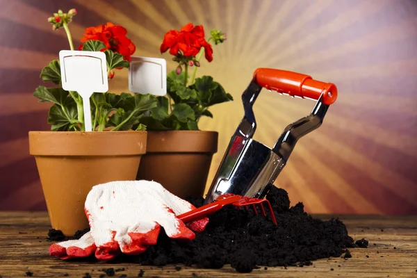 Watering Can and Gardening Gloves — Stock Photo, Image