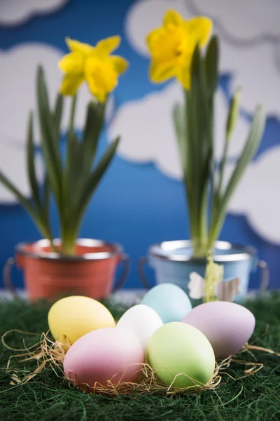 Colored eggs and flowers in pots — Stock Photo, Image