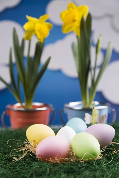 Colored eggs and flowers in pots — Stock Photo, Image