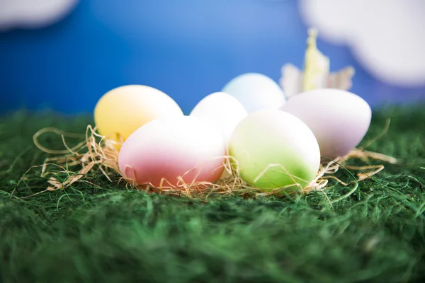 Colored eggs and flowers in pots — Stock Photo, Image