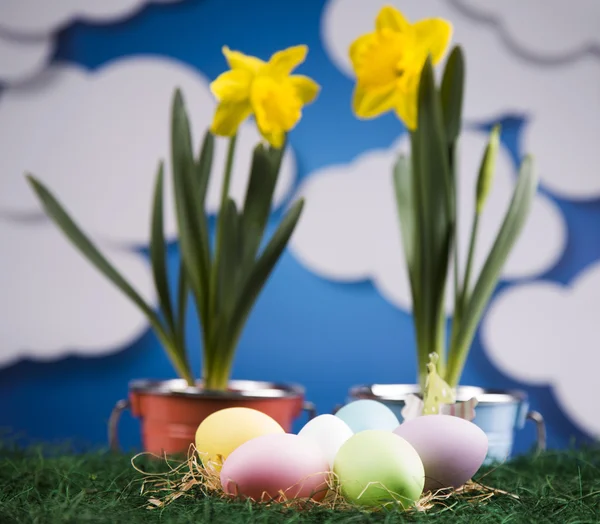 색된 계란과 냄비에 꽃 — 스톡 사진