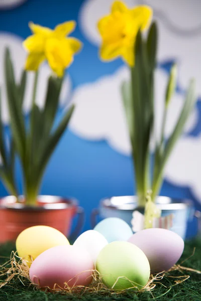 Colored eggs and flowers in pots — Stock Photo, Image