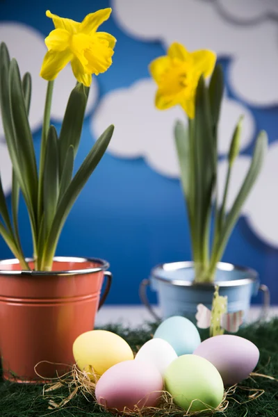 색된 계란과 냄비에 꽃 — 스톡 사진