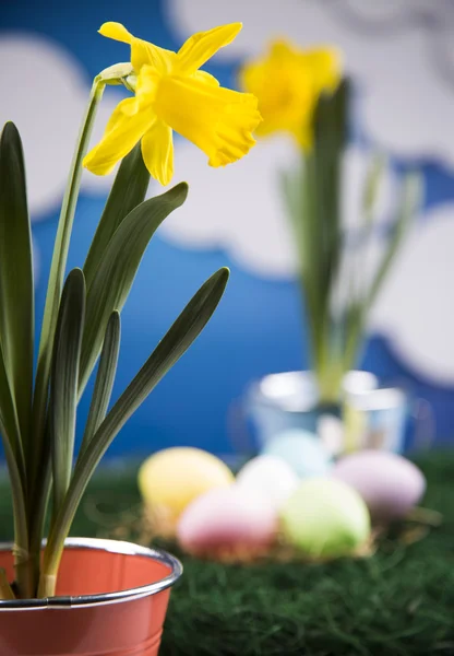 Colored eggs and flowers in pots — Stock Photo, Image