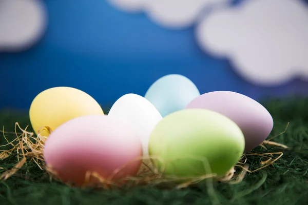 Colored eggs — Stock Photo, Image