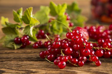 Orman meyve reçel kavanoz reçel, kavanoz reçeli, reçel, meyve, meyve