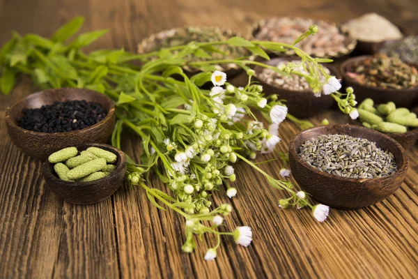 Natuurlijke geneeskunde, natuurlijke kruiderijen — Stockfoto