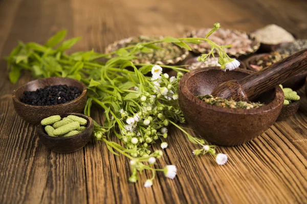 Natürliche Medizin, natürliche Gewürze — Stockfoto