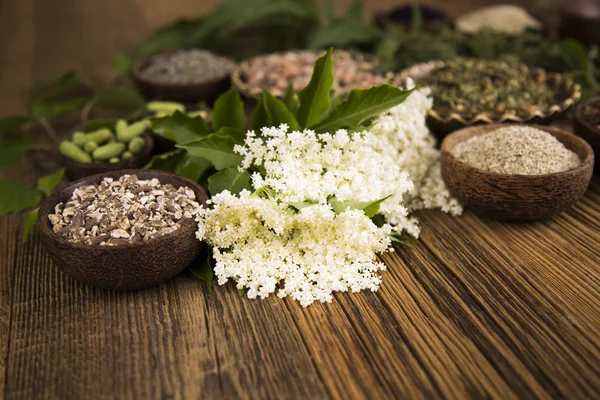 Natuurlijke geneeskunde, natuurlijke kruiderijen — Stockfoto