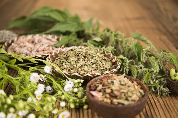 Natuurlijke geneeskunde, natuurlijke kruiderijen — Stockfoto