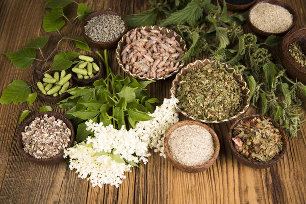 Natural medicine ,natural seasonings — Stock Photo, Image