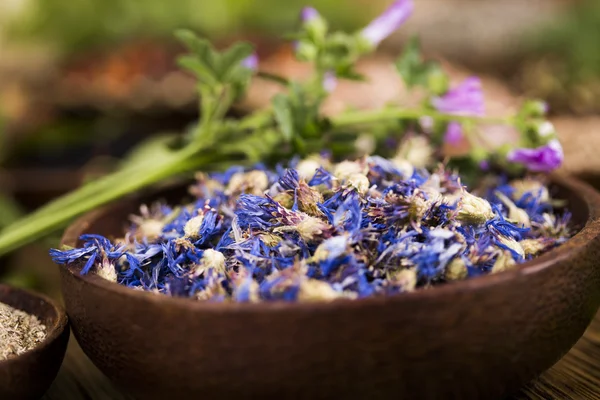 Medicina natural, condimentos naturales —  Fotos de Stock