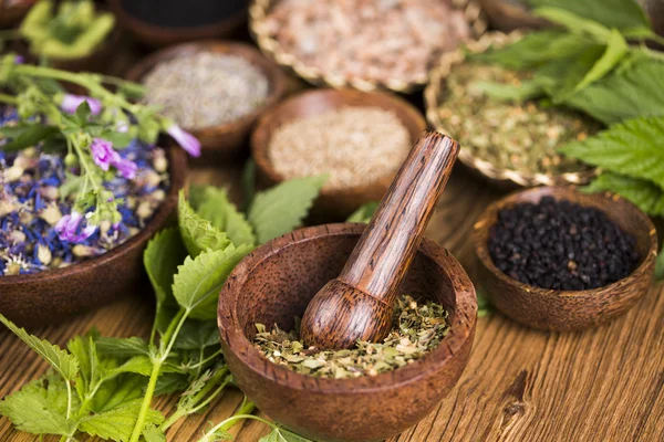 Natural medicine ,natural seasonings — Stock Photo, Image