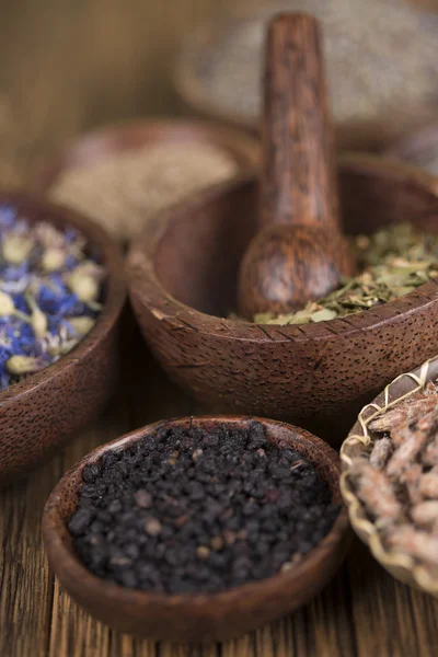 Natural medicine ,natural seasonings — Stock Photo, Image