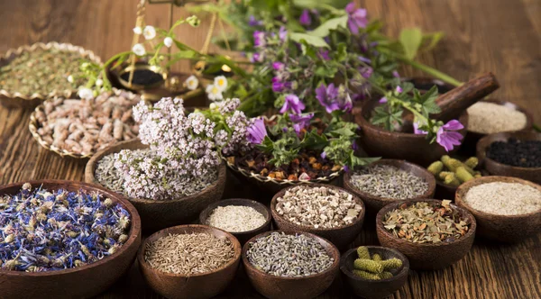 Natural medicine ,natural seasonings — Stock Photo, Image