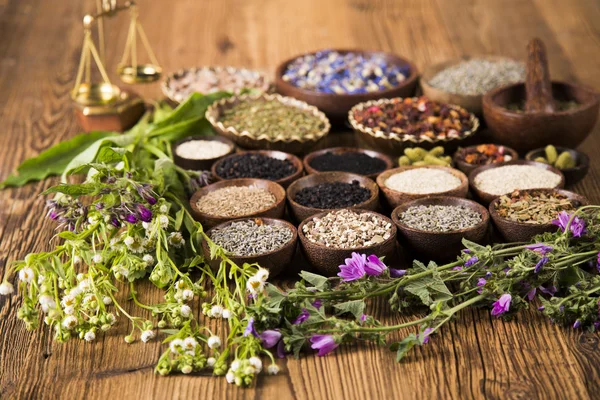 Natural medicine ,natural seasonings — Stock Photo, Image