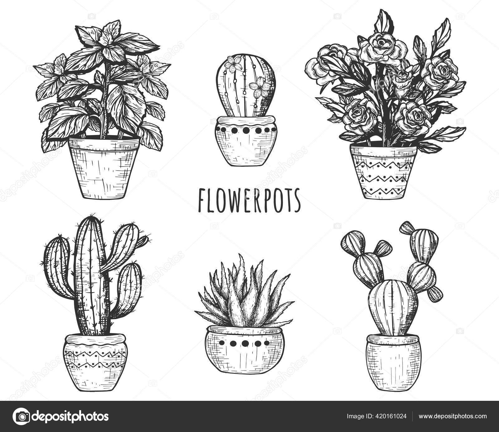 花器のベクトルイラスト 鉢に花 サボテン 多肉植物を咲かせます 手描きのヴィンテージスタイル ストックベクター C Istryistry 花器のベクトルイラスト 鉢に花 サボテン 多肉植物を咲かせます 手描きのヴィンテージスタイル ストックベクター C Istryistry