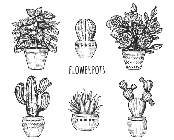 Vektorillustration Blomkrukor Blommande Blomma Kaktus Och Saftiga Dekorativa Krukväxter Vintage — Stock vektor