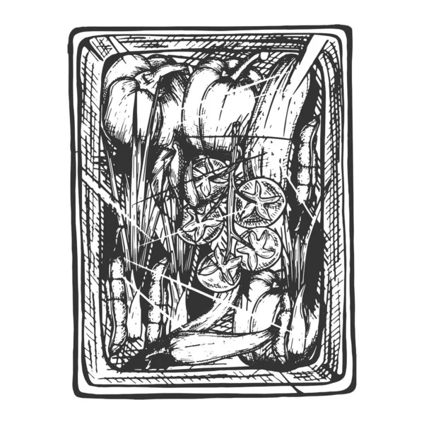 Векторная Ручная Иллюстрация Свежих Органических Овощей Вакуумной Упаковке Винтажном Гравированном — стоковый вектор