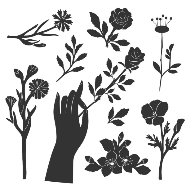 異なる春の花のステンシルのベクトルイラスト 葉を咲かせます 女性の手を握ってバラ 手描きのヴィンテージスタイル — ストックベクタ
