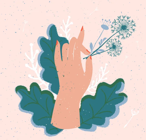 手保持タンポポのベクトルイラスト 女性の指に夏の野花 手描きのヴィンテージスタイル — ストックベクタ