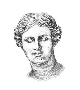 Afrodit 'in (venus de milo) oyma tekniğiyle oyma olarak çizilmiş baş Yunan heykeli çizimi. Beyaz arkaplanda izole.