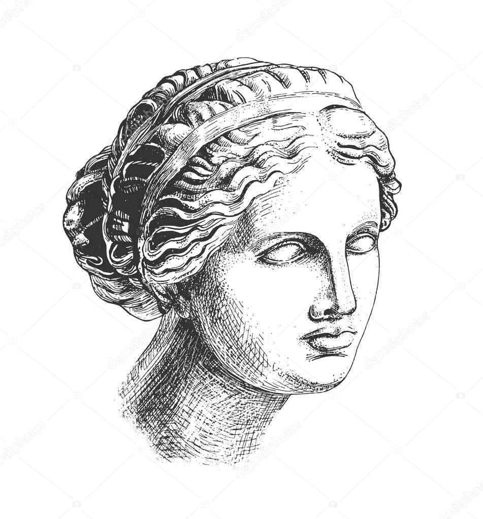 Vector hand drawn illustration of Aphrodite (venus de milo) head greek sculpture drawn in engraving technique in vintage engraved style. Isolated on white background.