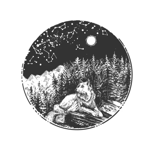 Vector Hand Drawn Illustration Wild Wolf Resting Stone Mountain Pine Vector Graphics