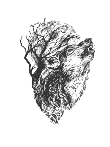 Διάνυσμα Χέρι Ζωγραφισμένα Εικονογράφηση Του Άγριου Κυνόδοντα Λύκος Ουρλιάζοντας Vintage Διάνυσμα Αρχείου