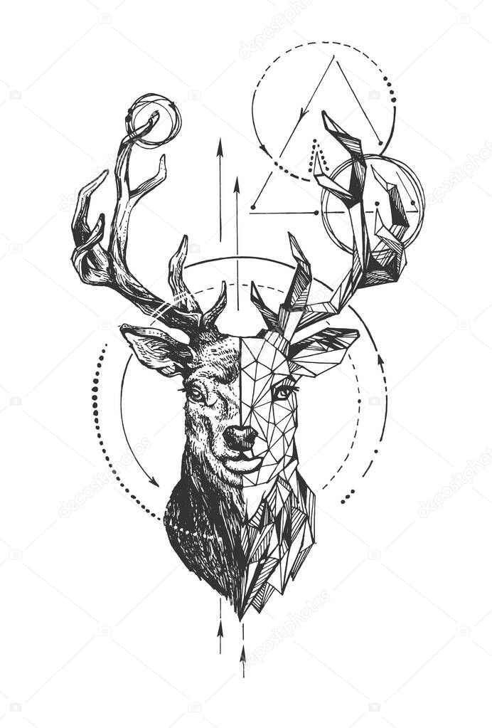 Vector hand drawn illustration of deer in vintage polygonal engraved style. Animal portrait with geometric boho outline element isolated on white background.