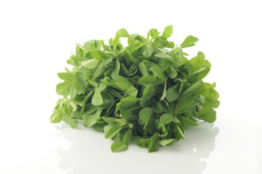 Taze Yeşil FenuGreek Beyaz Arkaplanda Yapraklar