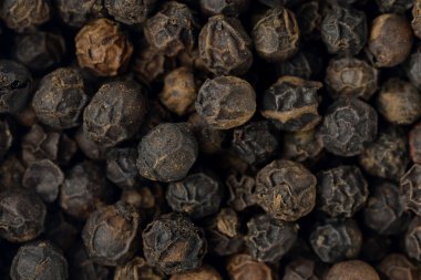 Kara biberi yaklaştır.