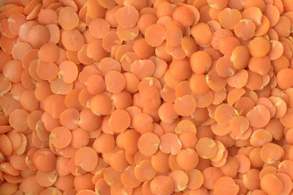 Close up of Red Lentil — Stock Photo, Image