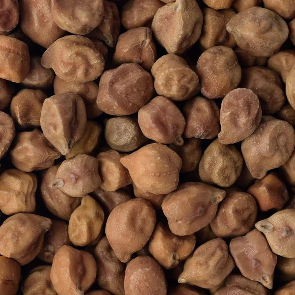 Brown Dried Chickpeas — Stock Photo, Image