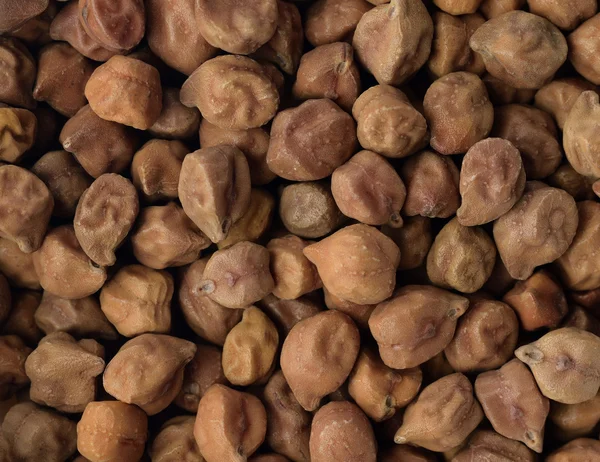 Close up of Chickpeas — Stock Photo, Image