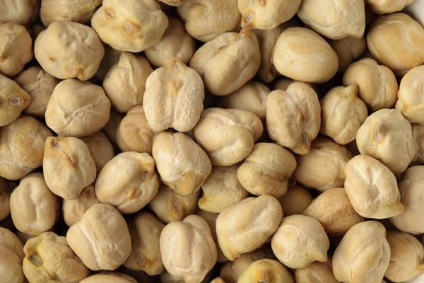 Close up of Chickpeas — Stock Photo, Image