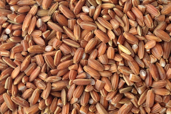 Organik kırmızı pirinç — Stok fotoğraf