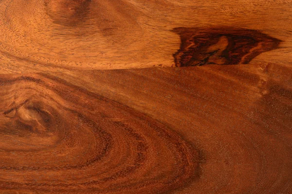 Hintergrund aus natürlichem Hartholz — Stockfoto