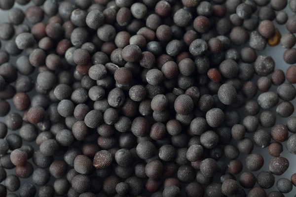 Black Mustard Seeds — Stock Photo, Image