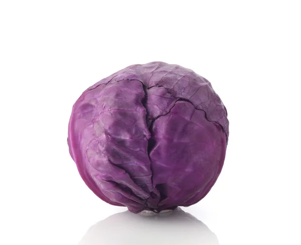 Red Cabbage on White Background — Stock Photo, Image