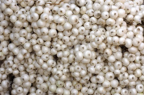 Cebollas blancas apiladas — Foto de Stock